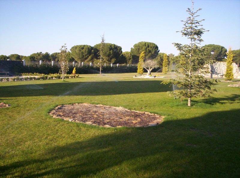 Su jard�n siempre verde